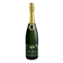 Espumante-Espanhol-Cava-Don-Roman-Brut